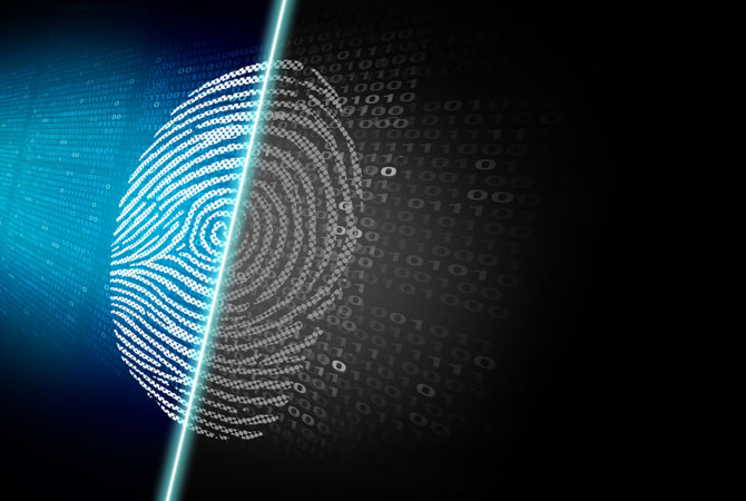 network security